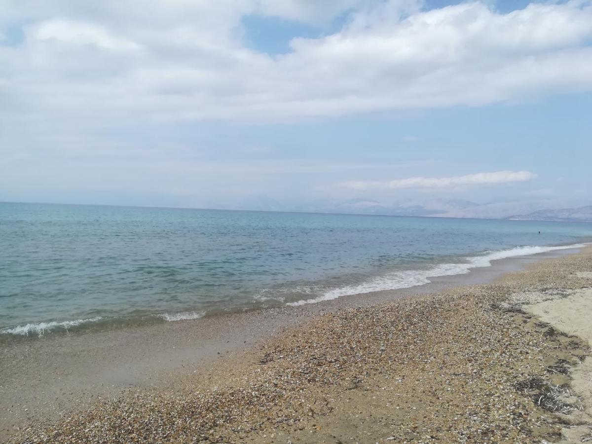 Olga'S Garden Apartments Παραλία Αλμυρού Εξωτερικό φωτογραφία