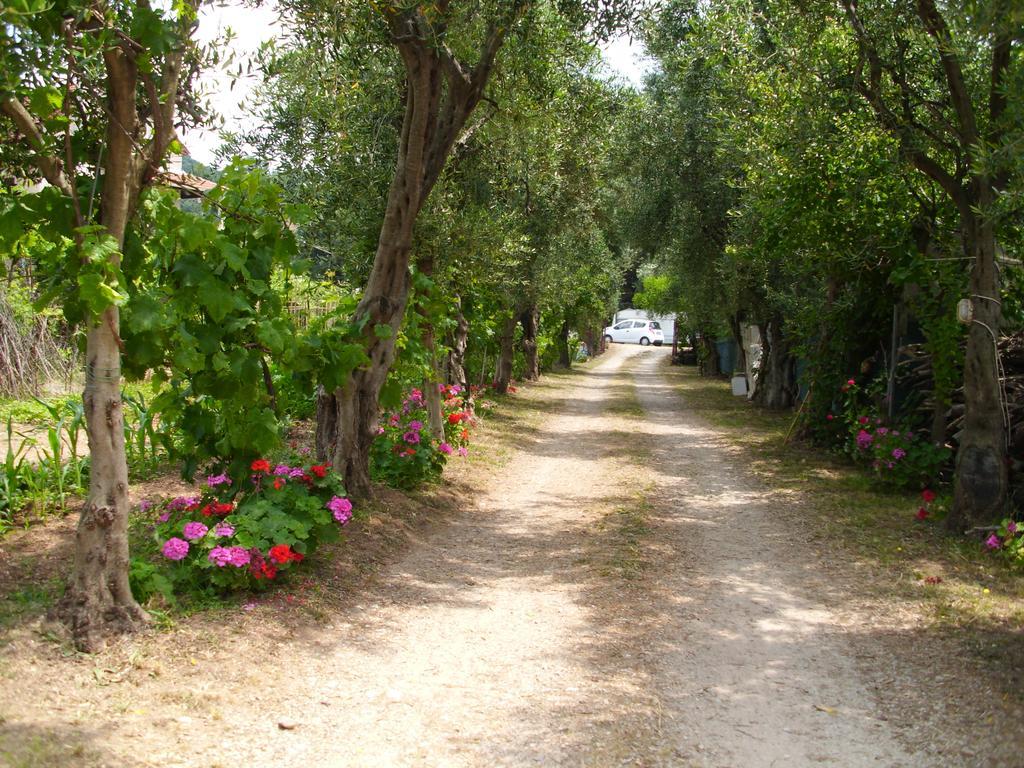 Olga'S Garden Apartments Παραλία Αλμυρού Εξωτερικό φωτογραφία